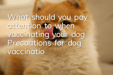 What should you pay attention to when vaccinating your dog? Precautions for dog vaccination!