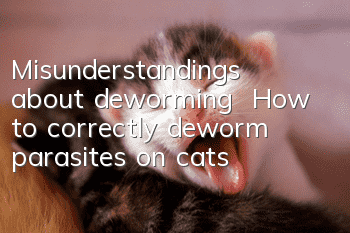 Misunderstandings about deworming | How to correctly deworm parasites on cats?