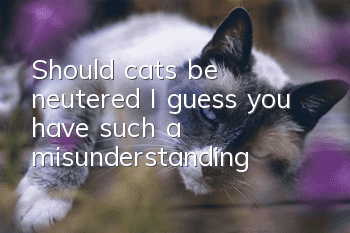 Should cats be neutered? I guess you have such a misunderstanding!