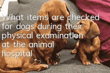 What items are checked for dogs during their physical examination at the animal hospital? Introduction to dog physical examination items!