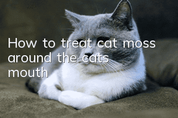 How to treat cat moss around the cat's mouth?