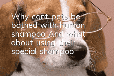 Why can’t pets be bathed with human shampoo? And what about using their special shampoo?