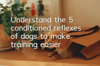 Understand the 5 conditioned reflexes of dogs to make training easier!