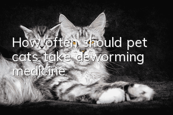 How often should pet cats take deworming medicine?