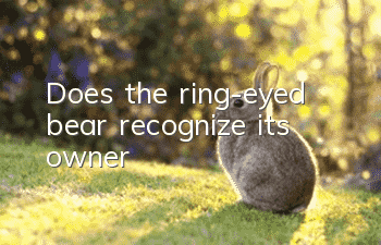 Does the ring-eyed bear recognize its owner?
