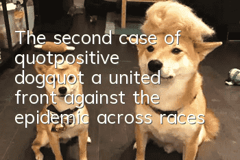 The second case of "positive dog", a united front against the epidemic across races!