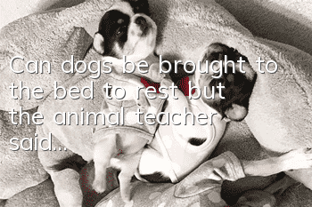Can dogs be brought to the bed to rest, but the animal teacher said...