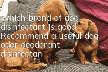 Which brand of dog disinfectant is good? Recommend a useful dog odor deodorant disinfectant!