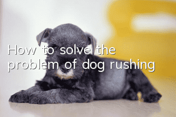 How to solve the problem of dog rushing