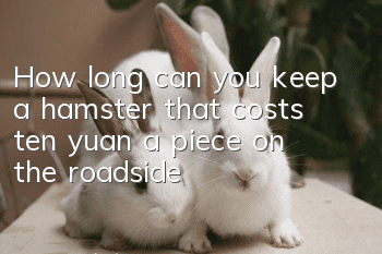 How long can you keep a hamster that costs ten yuan a piece on the roadside?