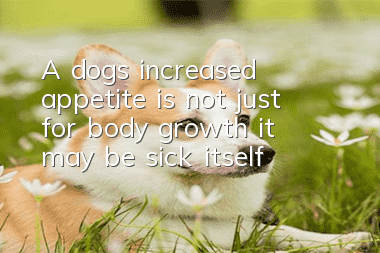 A dog's increased appetite is not just for body growth, it may be sick itself!