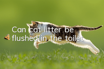 Can cat litter be flushed in the toilet?