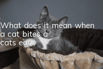 What does it mean when a cat bites a cat's ear?