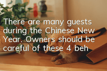 There are many guests during the Chinese New Year. Owners should be careful of these 4 behaviors of dogs. It may bite people.