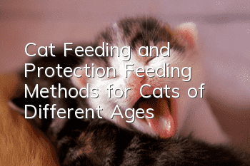 Cat Feeding and Protection Feeding Methods for Cats of Different Ages
