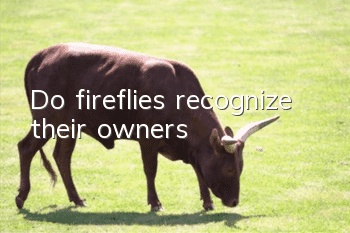 Do fireflies recognize their owners?