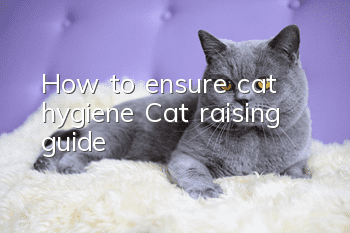 How to ensure cat hygiene? Cat raising guide!