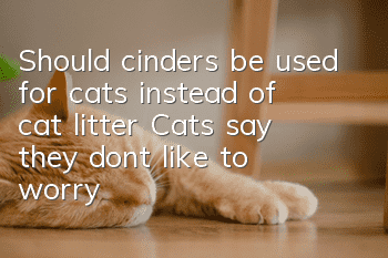 Should cinders be used for cats instead of cat litter? Cats say they don’t like to worry about urinary tract infections!