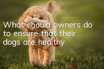 What should owners do to ensure that their dogs are healthy?