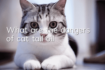 What are the dangers of cat tail oil?