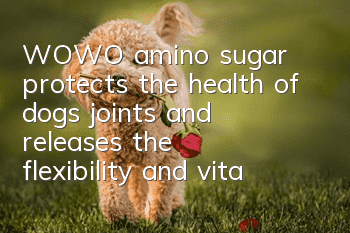 WOWO amino sugar protects the health of dogs' joints and releases the flexibility and vitality they were born with.