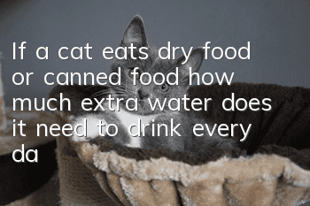 If a cat eats dry food or canned food, how much extra water does it need to drink every day?