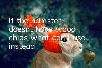If the hamster doesn’t have wood chips, what can I use instead?