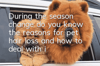 During the season change, do you know the reasons for pet hair loss and how to deal with it?