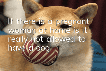 If there is a pregnant woman at home, is it really not allowed to have a dog?