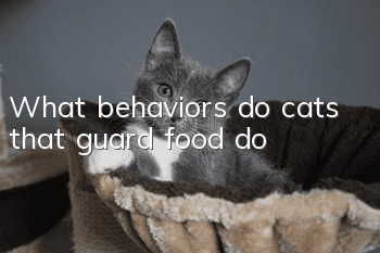 What behaviors do cats that guard food do?