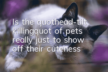 Is the "head-tilt killing" of pets really just to show off their cuteness?