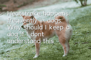 Heatstroke happens frequently in dogs. Why should I keep a dog if I don’t understand this?