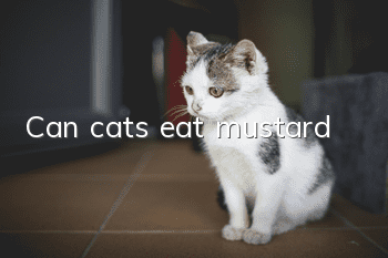 Can cats eat mustard?