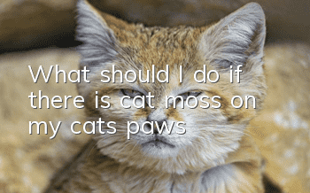 What should I do if there is cat moss on my cat’s paws?