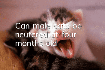 Can male cats be neutered at four months old?