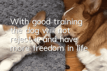With good training, the dog will not reject it and have more freedom in life!