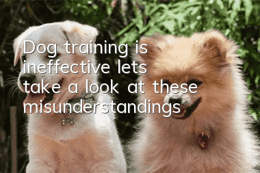 Dog training is ineffective, let’s take a look at these misunderstandings!