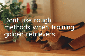 Don’t use rough methods when training golden retrievers!