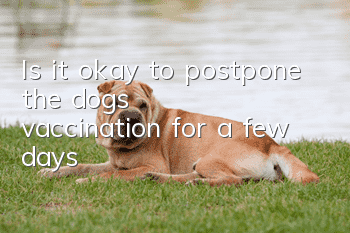 Is it okay to postpone the dog’s vaccination for a few days?