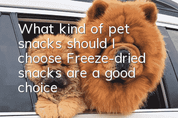 What kind of pet snacks should I choose? Freeze-dried snacks are a good choice!