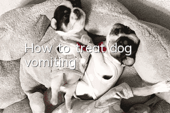 How to treat dog vomiting