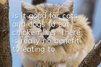 Is it good for cats and dogs to eat chicken liver? There is really no benefit to eating too much.
