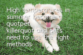 High temperatures in summer become a "pet killer", and pets need to use the right methods to prevent heatstroke and cool down!