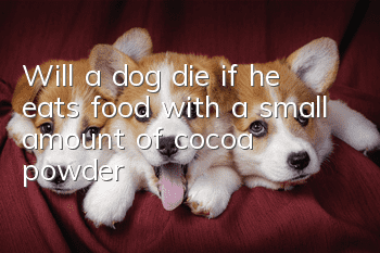 Will a dog die if he eats food with a small amount of cocoa powder?