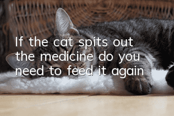 If the cat spits out the medicine, do you need to feed it again?