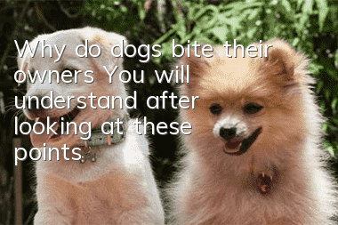 Why do dogs bite their owners? You will understand after looking at these points