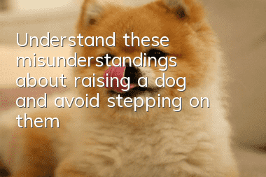 Understand these misunderstandings about raising a dog and avoid stepping on them!