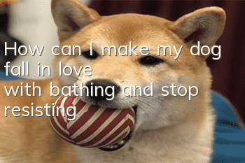 How can I make my dog fall in love with bathing and stop resisting?