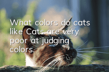 What colors do cats like? Cats are very poor at judging colors.