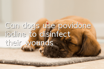 Can dogs use povidone iodine to disinfect their wounds?